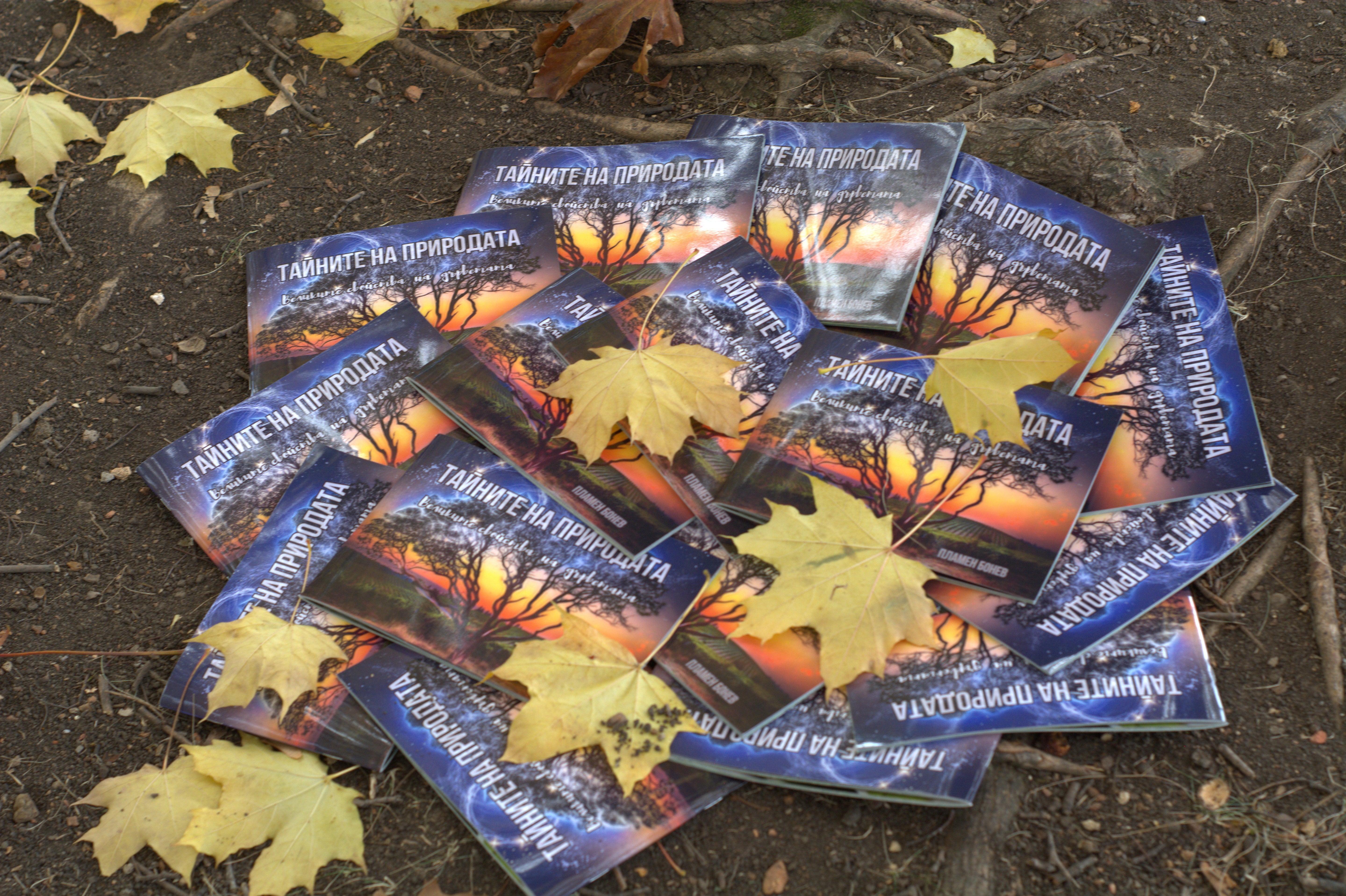 Тайните на природата - Великите свойства на дърветата