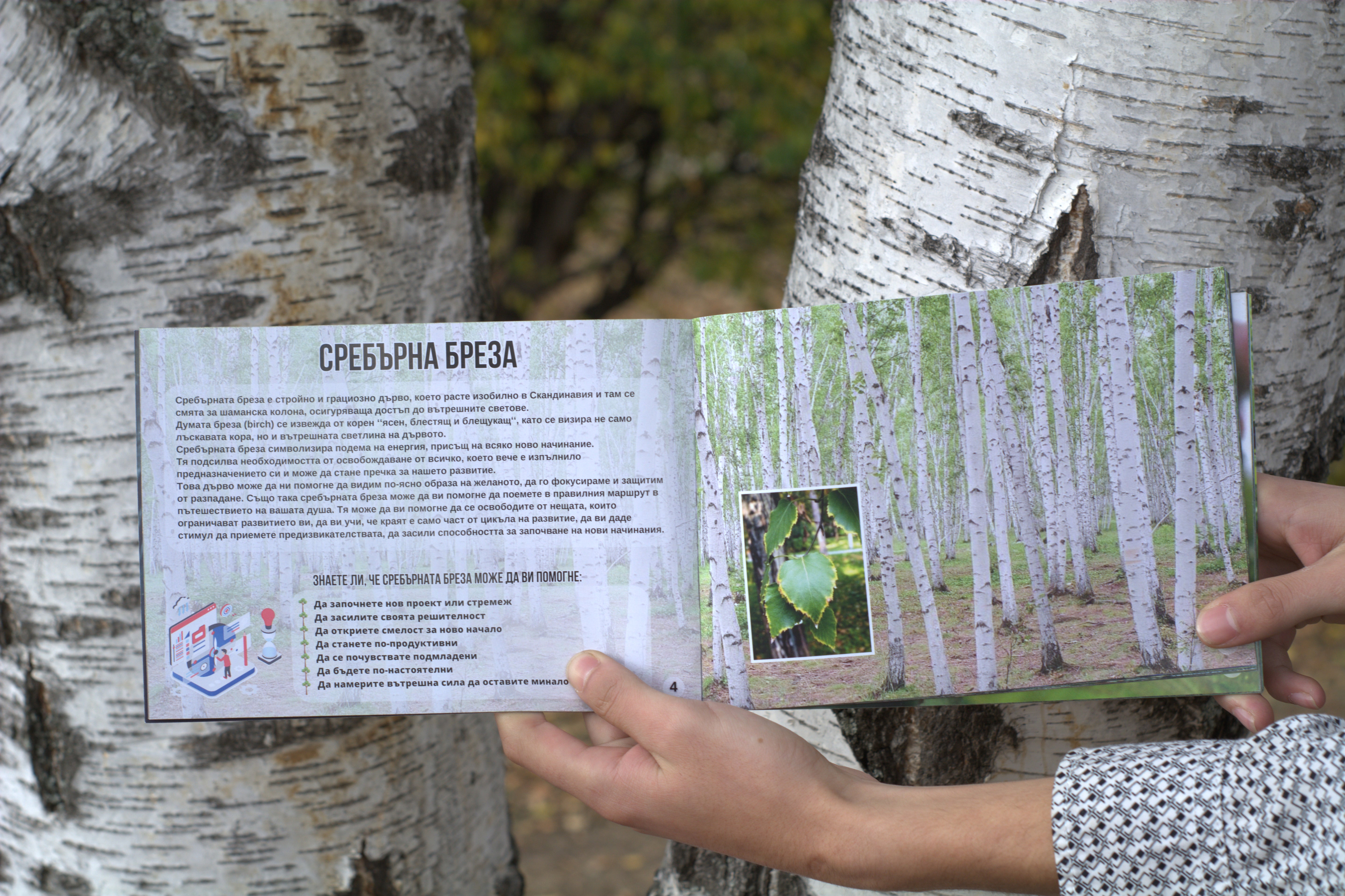 Тайните на природата - Великите свойства на дърветата