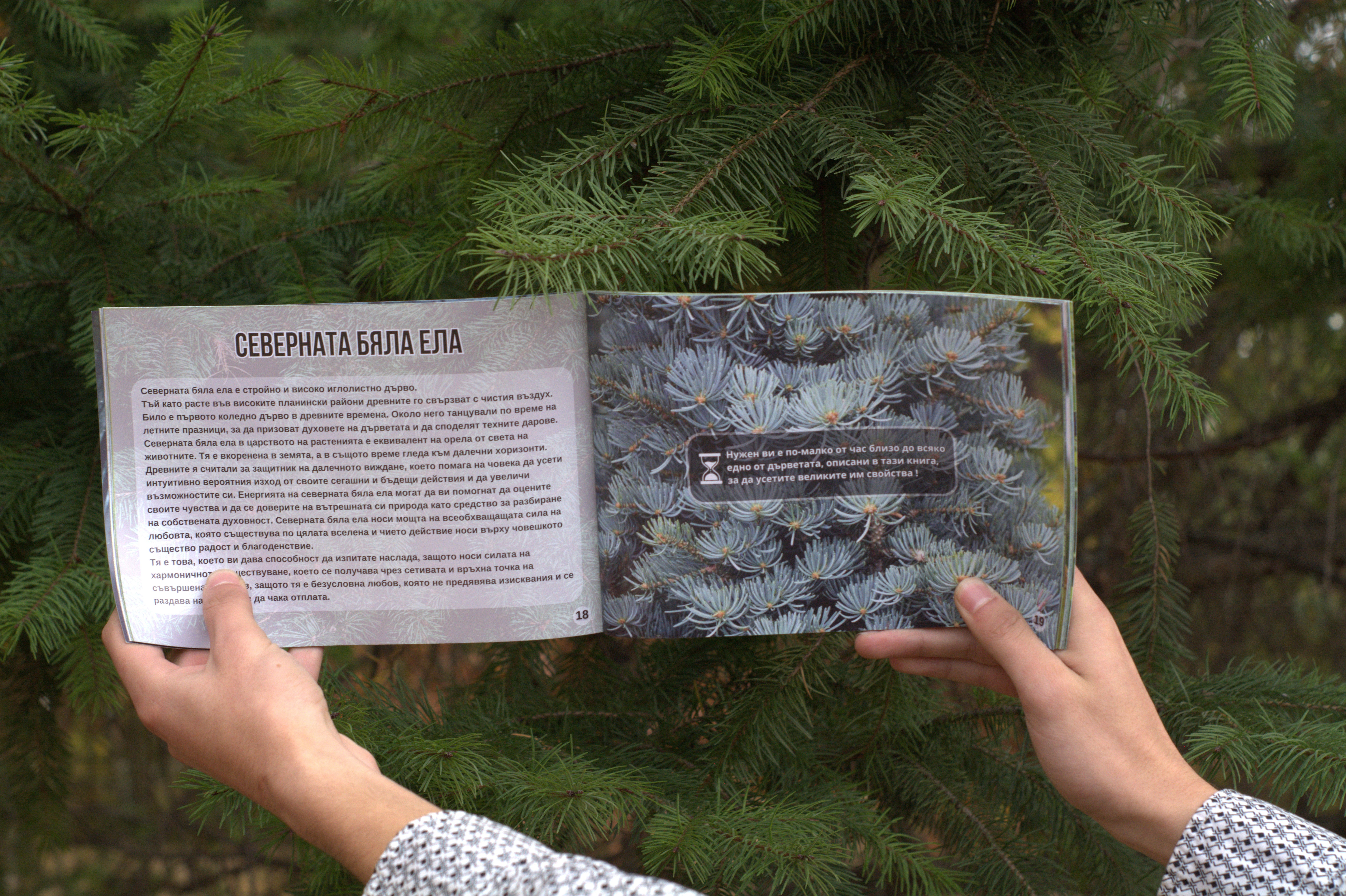 Тайните на природата - Великите свойства на дърветата