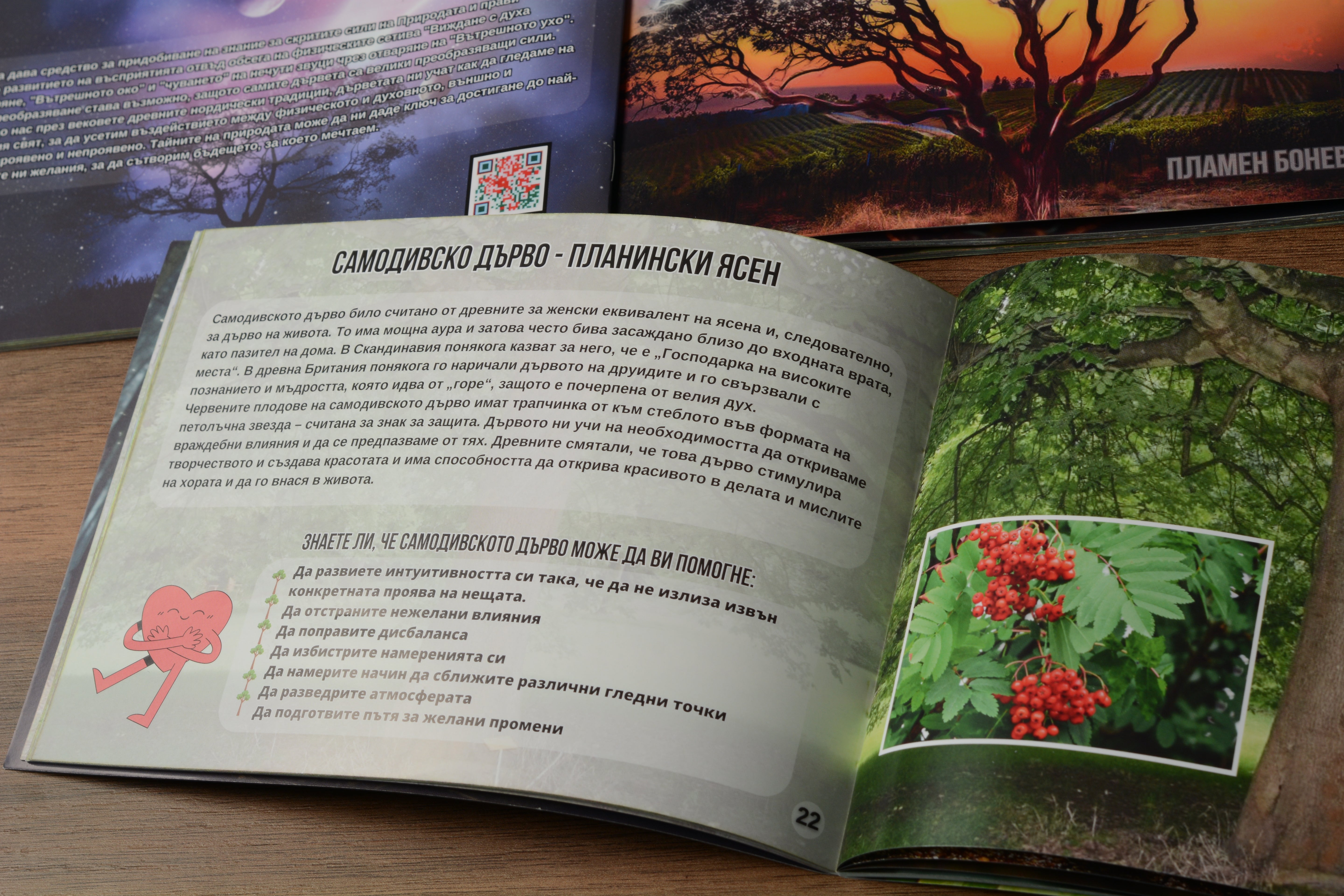 Тайните на природата - Великите свойства на дърветата