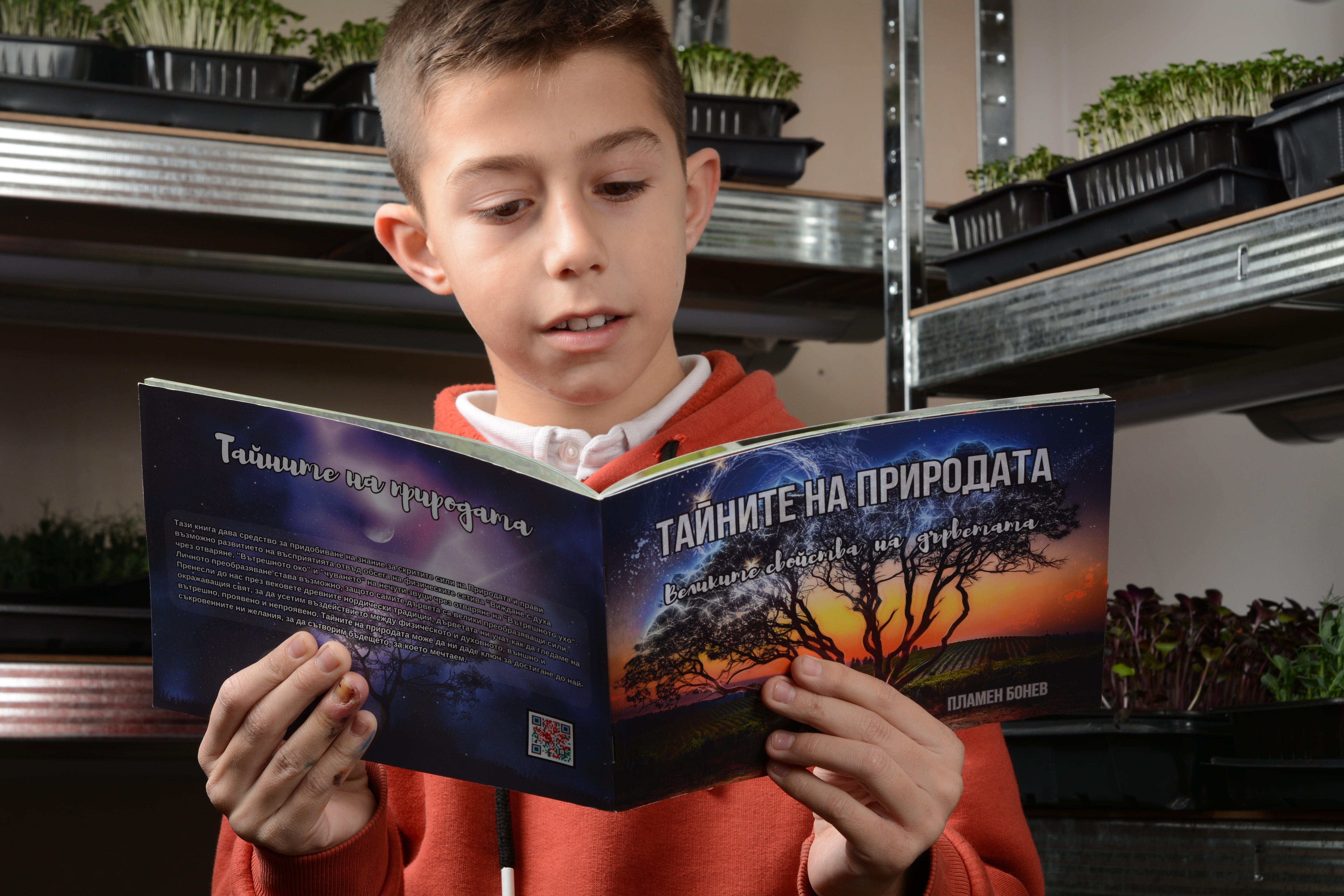 Тайните на природата - Великите свойства на дърветата