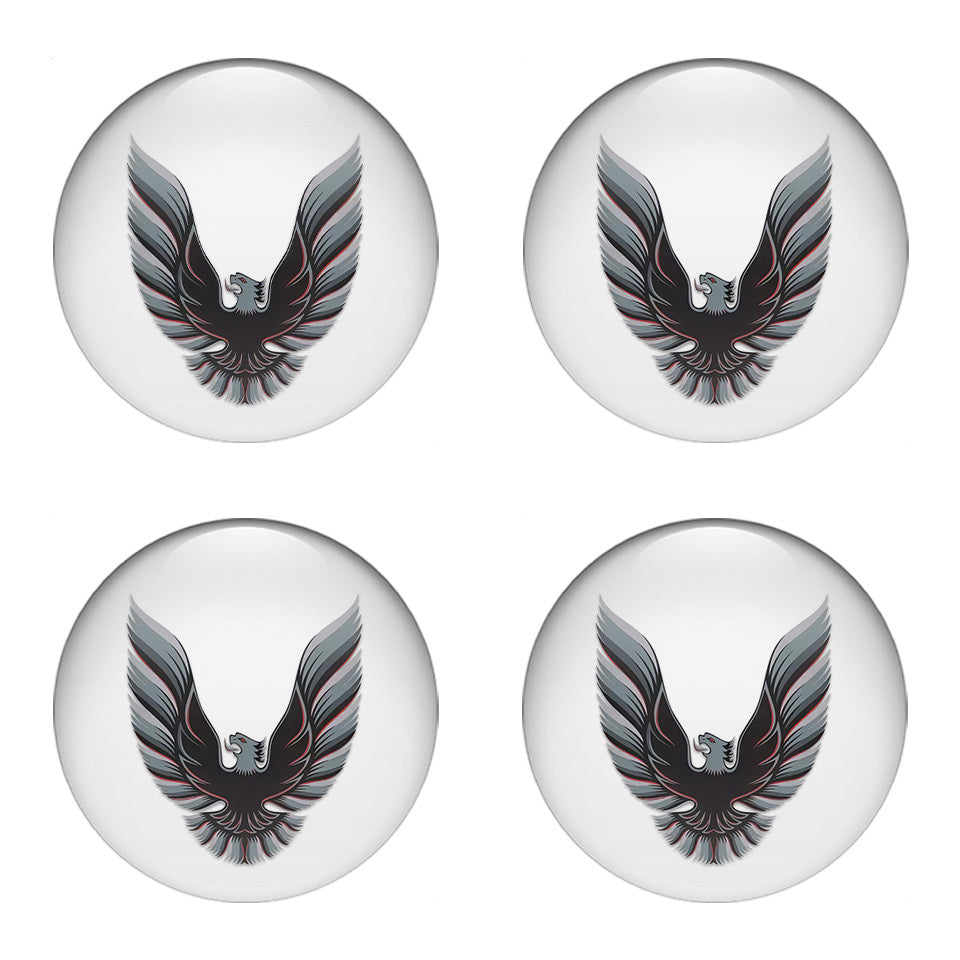 PONTIAC Domed Emblems for Center Caps51