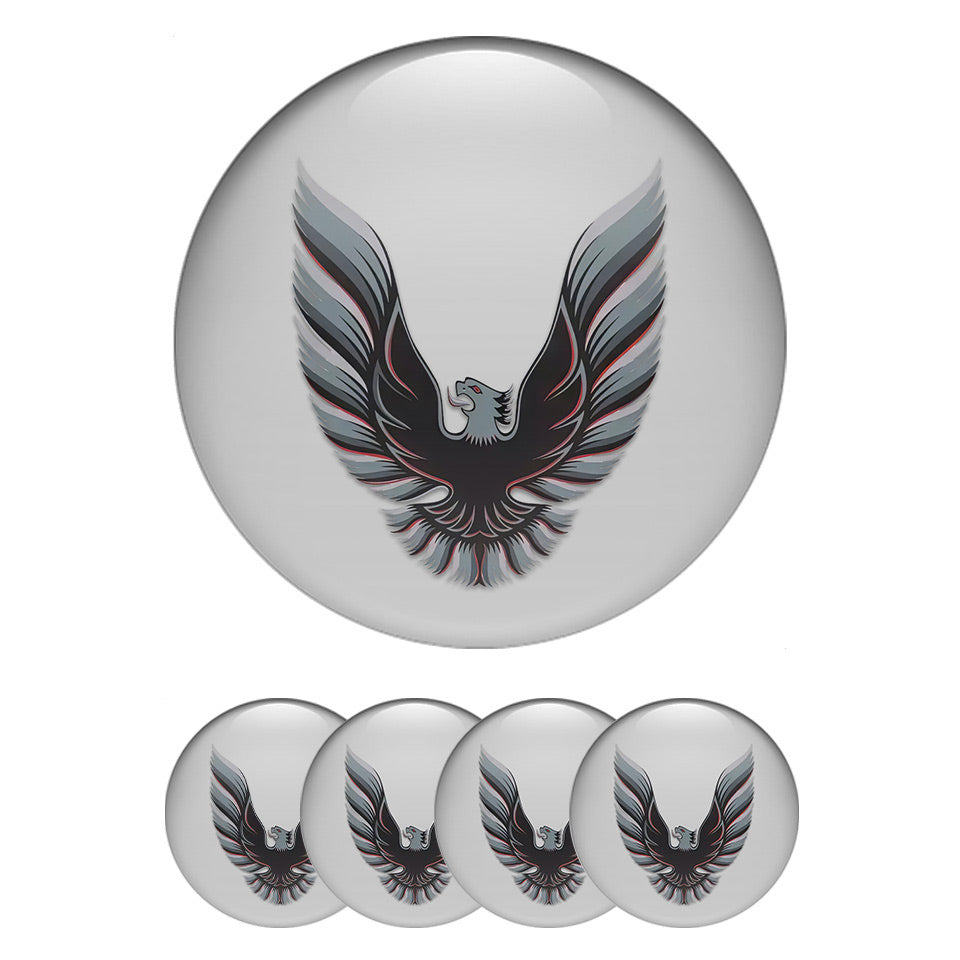 PONTIAC Domed Emblems for Center Caps54