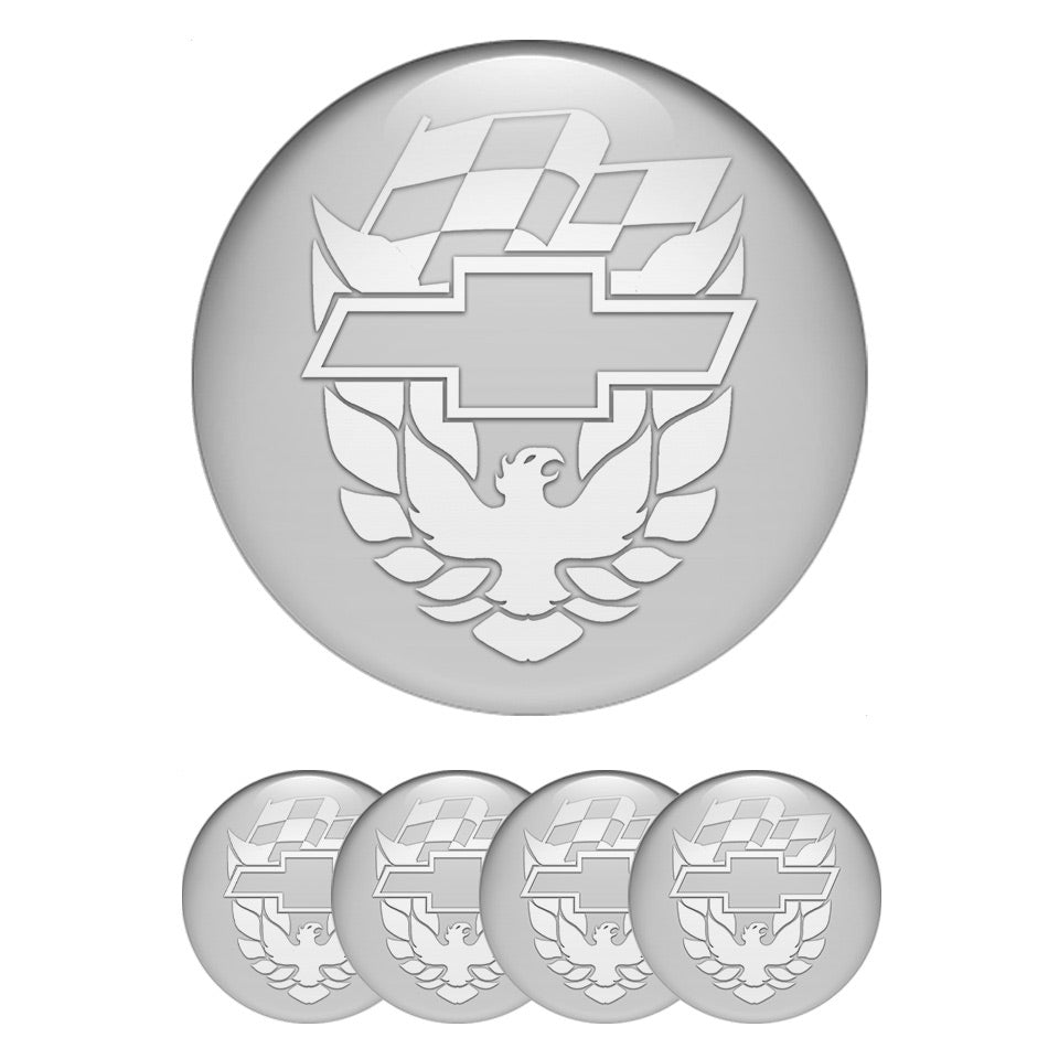 PONTIAC Domed Emblems for Center Caps12